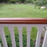 Fireman rail after